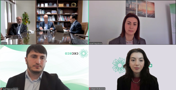 ECOSF–CECECO Consultation on Clean Energy and Sustainability Transition